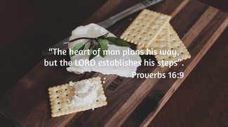 proverbs 16-9